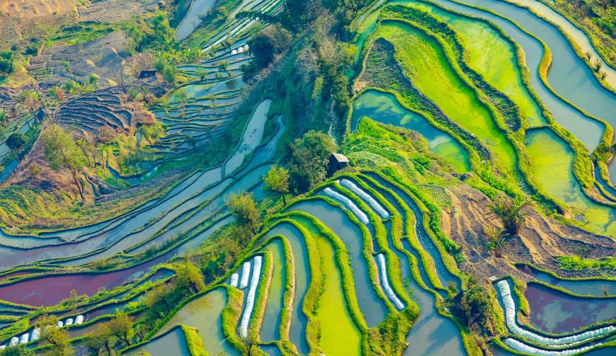 走进来凤县TVC拍摄：解锁本地化场景与创意镜头的完美融合